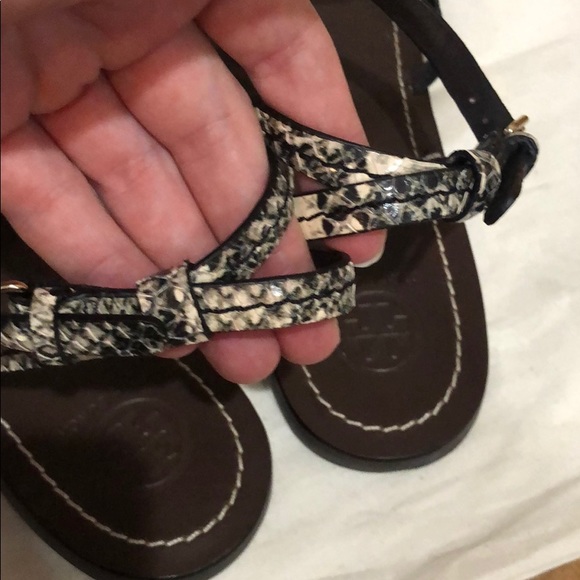 Tory Burch chandler snake embossed flat sandal - Picture 6 of 7